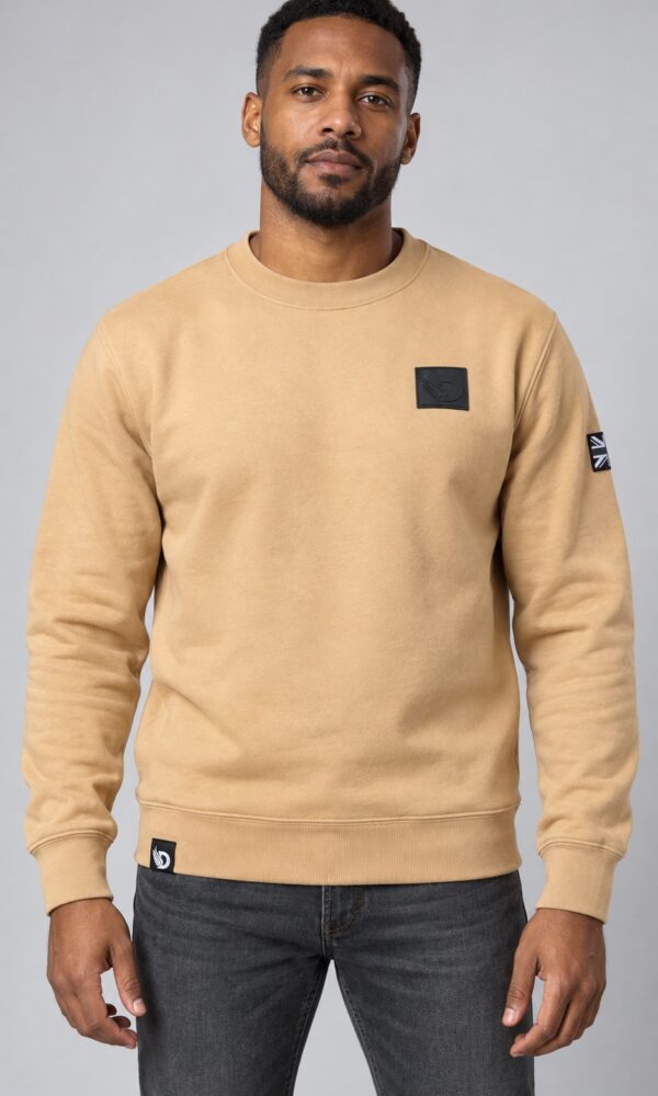 Male model wearing the Desert Stealth Sweatshirt, front view showing the chest patch, sleeve flag and hem tag